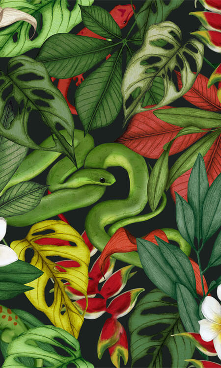 Jungle Snakes